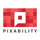 company-pixability