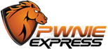logo-pwnie-3154x701
